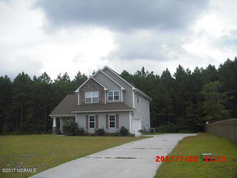 313 Springcreek Ct, Hubert, NC 28539 photo 2