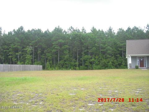 313 Springcreek Ct, Hubert, NC 28539 photo 3
