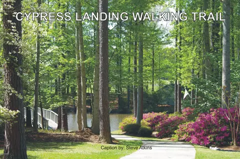 887 Potomac Dr, Chocowinity, NC 27817 photo 48