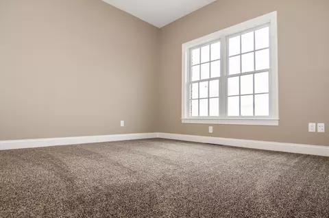 166 Jackson Swamp Rd, Bath, NC 27808 photo 47
