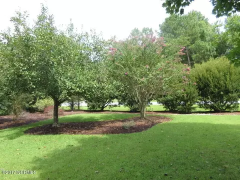 100 Mullica Dr, Chocowinity, NC 27817 photo 38