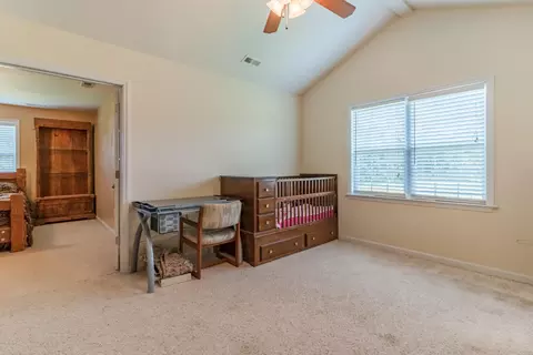 100 Hall Effect Ln, Maple Hill, NC 28454 photo 14
