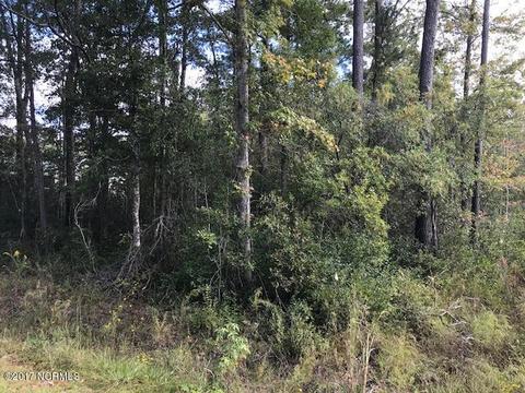 2996 Malmo Loop Rd NE, Leland, NC 28451 photo 2