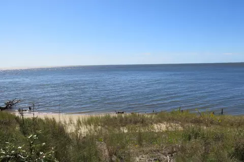 545 Seashore Dr, Atlantic, NC 28511 photo 48