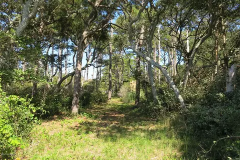 545 Seashore Dr, Atlantic, NC 28511 photo 52