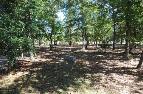 3970 Ivanhoe Rd, Ivanhoe, NC 28447 photo 31