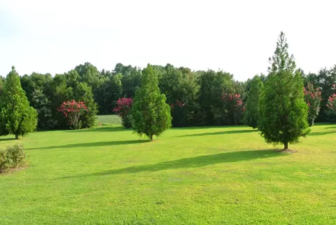 1897 Sheldon Rd, Bailey, NC 27807 photo 24