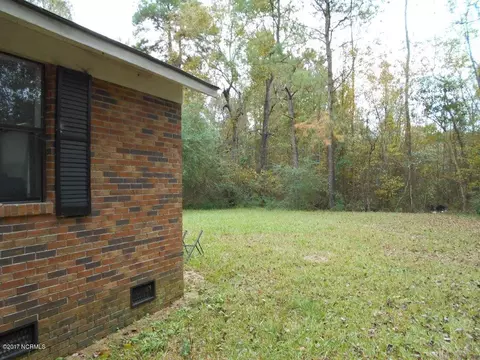 8461 Piney Woods Rd, Willard, NC 28478 photo 2