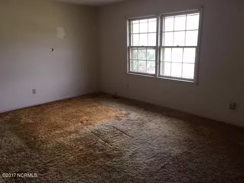 47 Red Tip Ln, Willard, NC 28478 photo 5