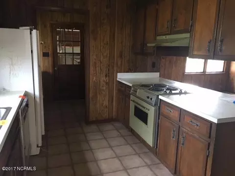 47 Red Tip Ln, Willard, NC 28478 photo 9