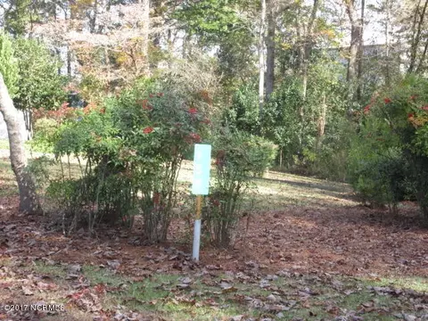 157 Bay Dr, Chocowinity, NC 27817 photo 47