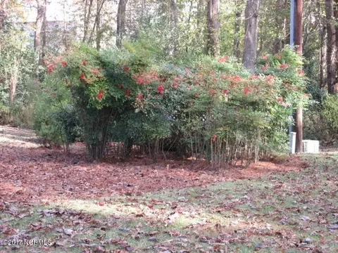157 Bay Dr, Chocowinity, NC 27817 photo 48