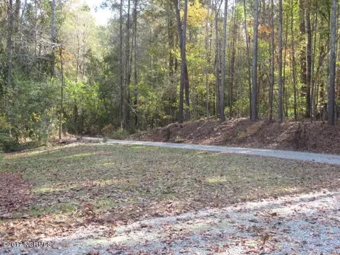 157 Bay Dr, Chocowinity, NC 27817 photo 49