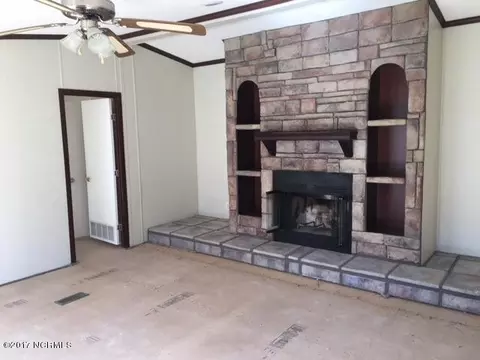 157 Thomasville Rd, Harrells, NC 28444 photo 2