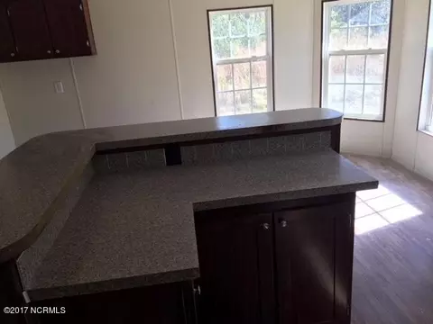 157 Thomasville Rd, Harrells, NC 28444 photo 3