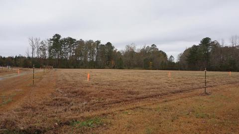 4151 Aurora Rd, Ernul, NC 28527 photo 2