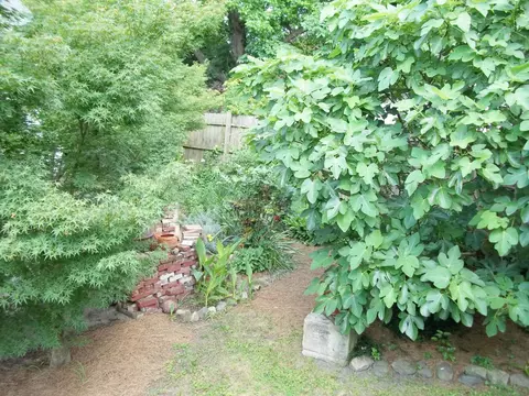 302 E 2nd St, Washington, NC 27889 photo 39