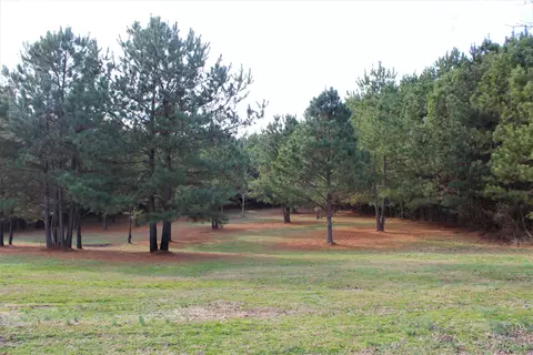 10421 Smith Rd, Middlesex, NC 27557 photo 4