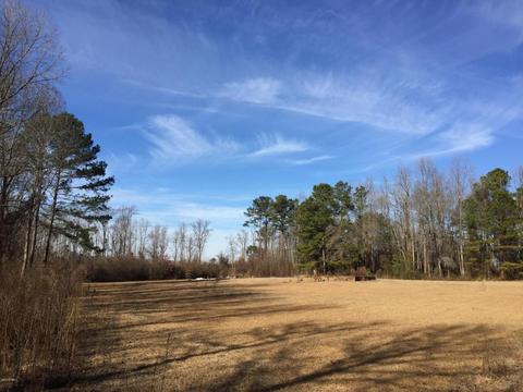 1084 Mitchell Loop Rd, Roseboro, NC 28382 photo 2