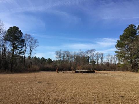 1084 Mitchell Loop Rd, Roseboro, NC 28382 photo 1