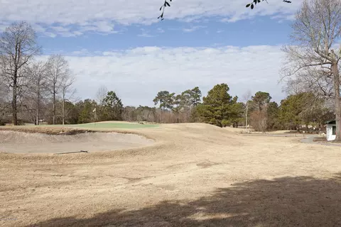 102 Pine Needle Dr, Hampstead, NC 28443 photo 31