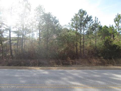 100 Long Leaf Drive, Hampstead, NC 28443 photo 1