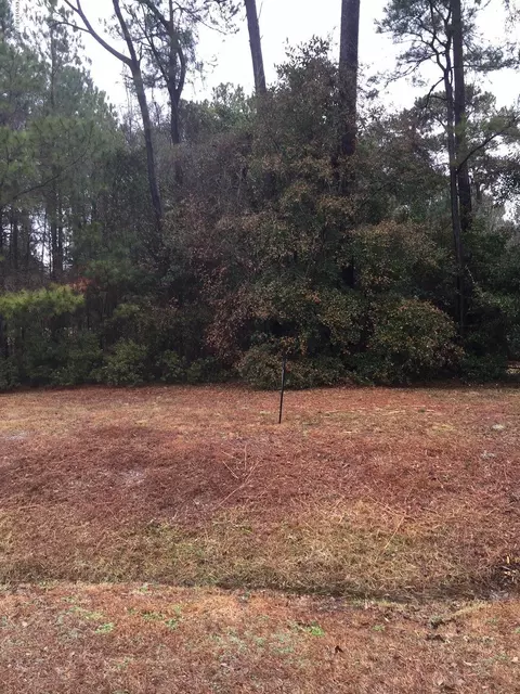141 Loder Ave, Wilmington, NC 28409 photo 1
