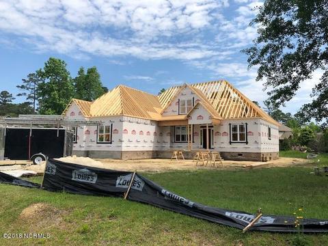 201 Pungo Ln, Chocowinity, NC 27817 photo 1