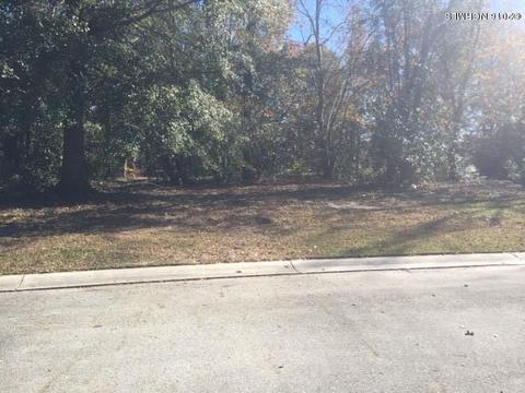130 Sugar Maple Ct, Wallace, NC 28466 photo 2
