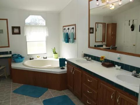 153 Old Mill Rd, Willard, NC 28478 photo 24