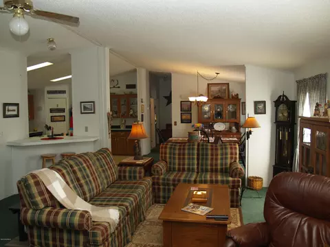 153 Old Mill Rd, Willard, NC 28478 photo 10