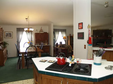 153 Old Mill Rd, Willard, NC 28478 photo 18