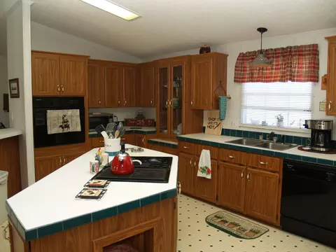 153 Old Mill Rd, Willard, NC 28478 photo 17
