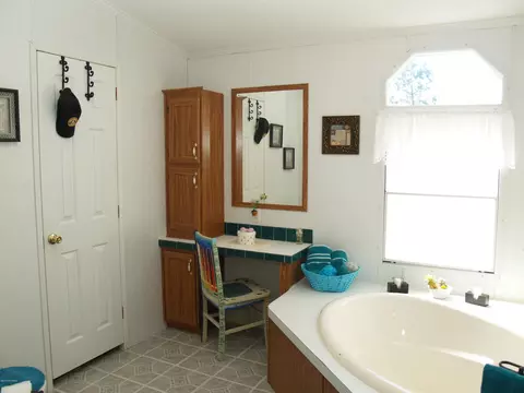 153 Old Mill Rd, Willard, NC 28478 photo 26