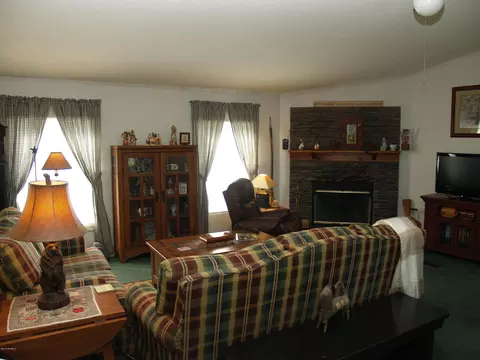 153 Old Mill Rd, Willard, NC 28478 photo 8