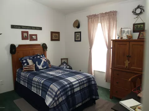 153 Old Mill Rd, Willard, NC 28478 photo 29