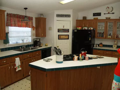 153 Old Mill Rd, Willard, NC 28478 photo 19