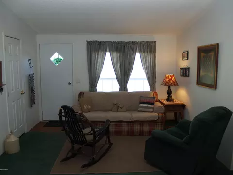 153 Old Mill Rd, Willard, NC 28478 photo 4