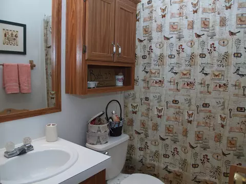 153 Old Mill Rd, Willard, NC 28478 photo 31