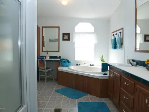 153 Old Mill Rd, Willard, NC 28478 photo 23