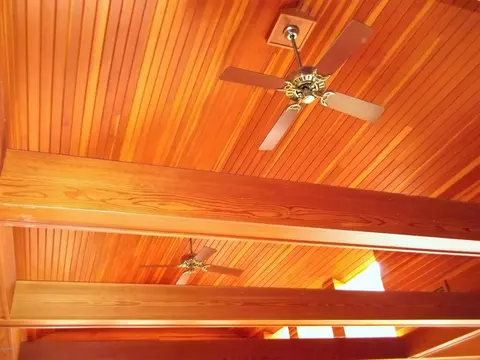 104 Beechtree Rd, Washington, NC 27889 photo 22