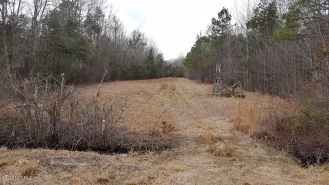 910 Loftin Farm Rd, Dover, NC 28526 photo 21