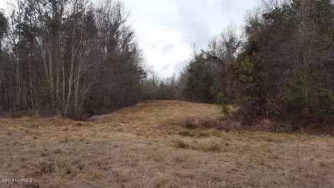 910 Loftin Farm Rd, Dover, NC 28526 photo 18