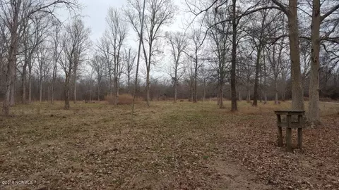 910 Loftin Farm Rd, Dover, NC 28526 photo 38