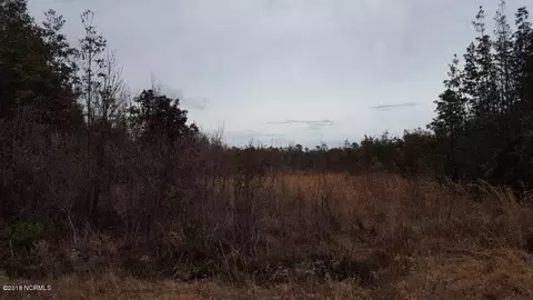 910 Loftin Farm Rd, Dover, NC 28526 photo 25