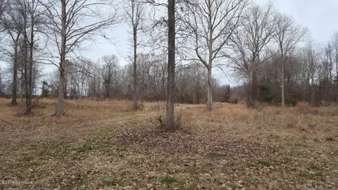 910 Loftin Farm Rd, Dover, NC 28526 photo 8