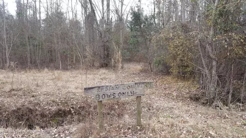 910 Loftin Farm Rd, Dover, NC 28526 photo 26