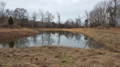 910 Loftin Farm Rd, Dover, NC 28526 photo 7