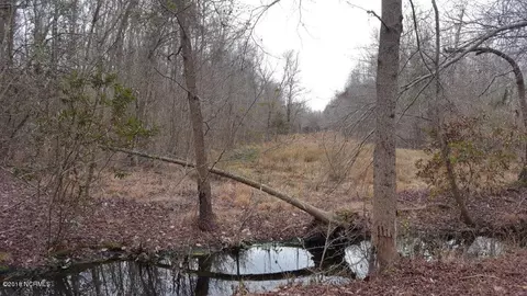 910 Loftin Farm Rd, Dover, NC 28526 photo 22