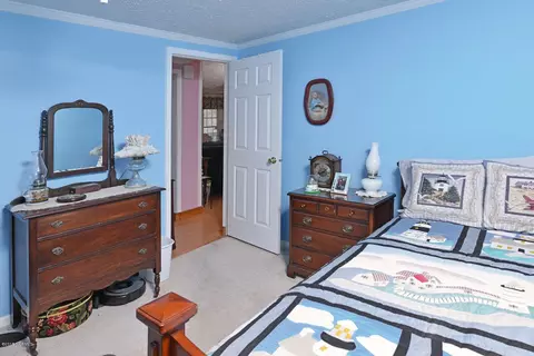 3003 Whichards Beach Rd, Chocowinity, NC 27817 photo 36